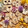 Hexagonal Wooden Button Collection