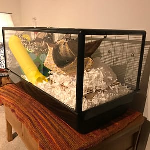 Savic Plaza Complete Cage Replacement Screen